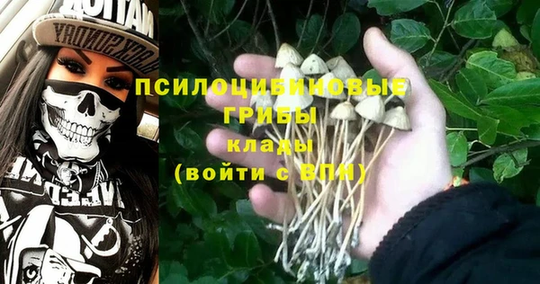 Альфа ПВП Алексеевка