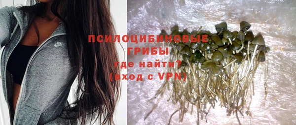 кокс Алзамай