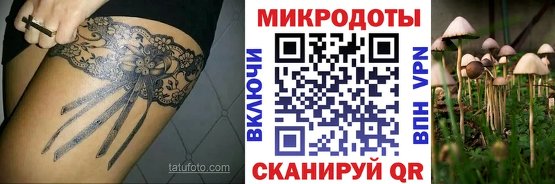 darknet наркотические препараты Люберцы Псилоцибиновые грибы ЛСД